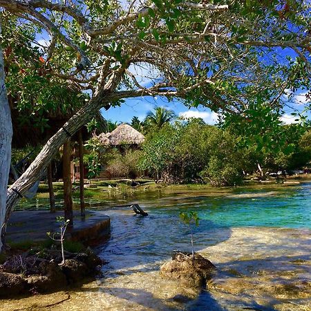 Casa Caracol Hotel Bacalar Exterior foto