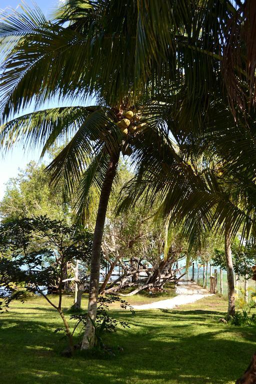 Casa Caracol Hotel Bacalar Exterior foto