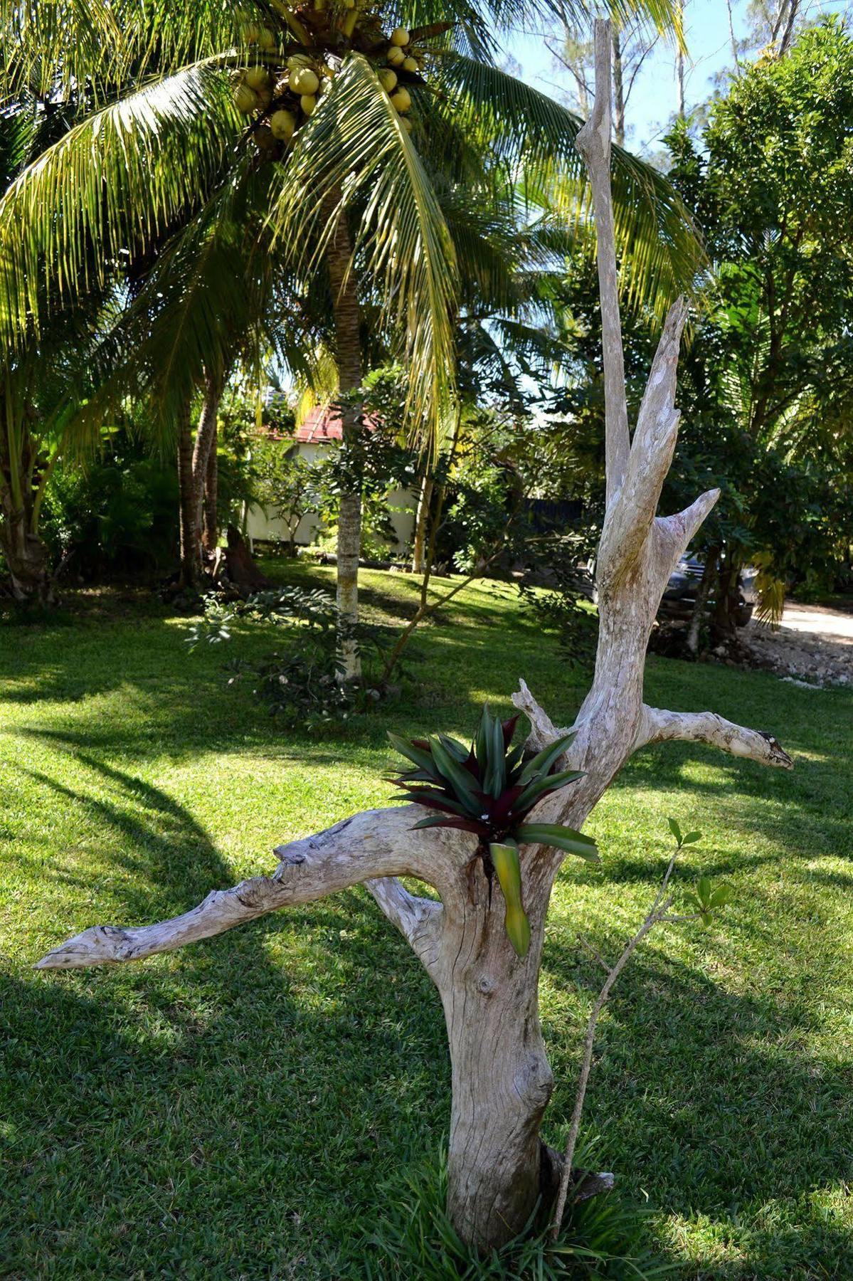 Casa Caracol Hotel Bacalar Exterior foto